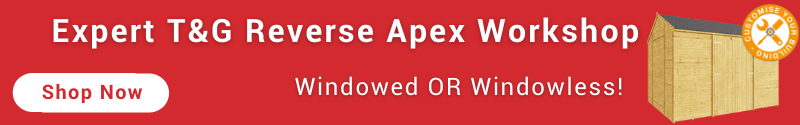 Expert Reverse Apex Workshop_Windowed or Windowless