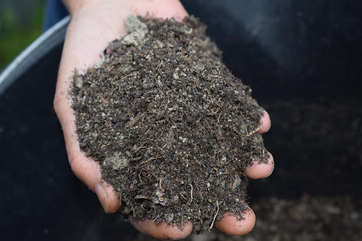 hand holding soil