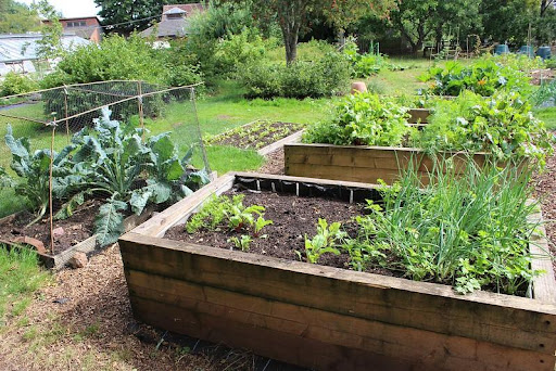 raised garden planter beds