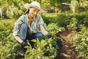 A woman wearing a striped shirt and a hat, gardening in a lush vegetable garden surrounded by green plants.