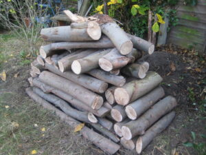 Log pile wildlife habitat.