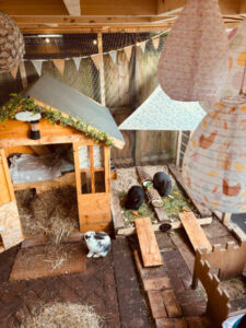 BillyOh customer's image of a shed rabbit house