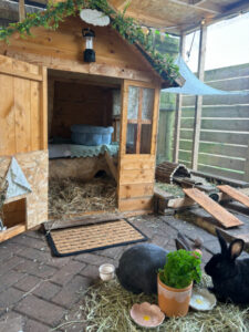 BillyOh customer's image of a shed rabbit house