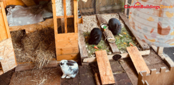 Rabbit Shed Setup Conversion Guide